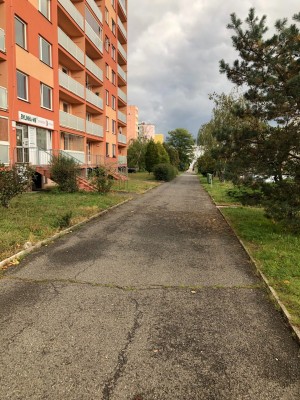 Pronájem kanceláře 35m2