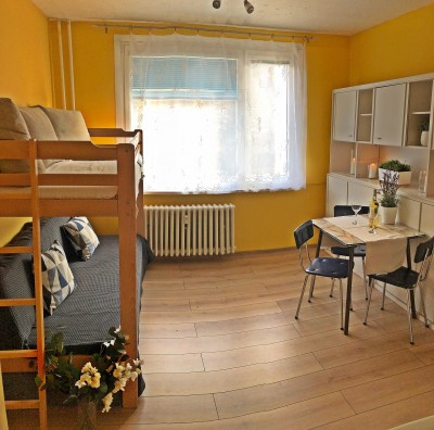 Pronájem bytu 1+kk,  20m2