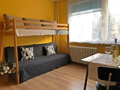 Pronájem bytu 1+kk,  20m2
