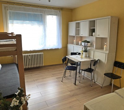 Pronájem bytu 1+kk,  20m2
