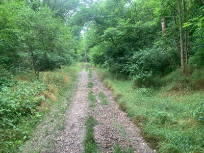 Prodej pozemku 27 235 m2 - Brodec, okr. Louny