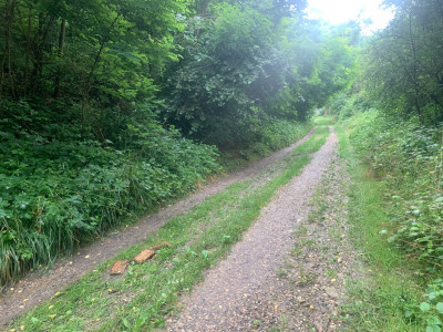 Prodej pozemku 27 235 m2 - Brodec, okr. Louny