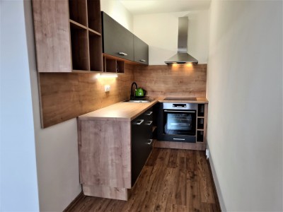 Pronájem bytu 1+kk, ul. V Oblouku, Krásné Březno, Ústí nad Labem