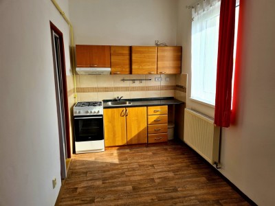 Pronájem bytu 1+1, ul Litoměřická, Děčín III - Staré Město