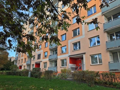 Pronájem bytu 2+1 57m2