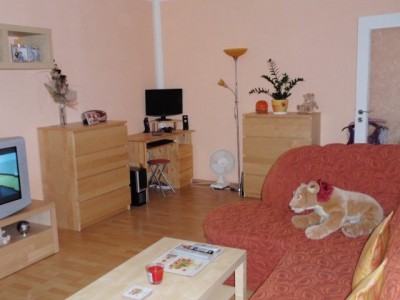 Prodej bytu 1+kk, Holandská, Kladno