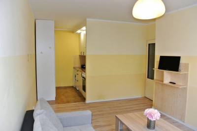 Prodej bytu 2+kk/OV/40m2, Francouzská, Kladno