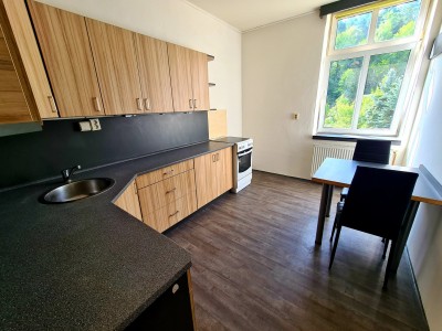 Prodej bytu 1+1 , ulice Bynovská, Děčín IX - Bynov