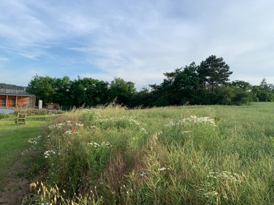Prodej stavebního pozemku 6 402 m2 - Slaný, okr. Kladno