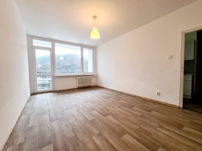 Pronájem bytu 3+1 s lodžií, ul. Řetězová, Děčín I