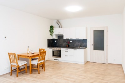 Prodej novostavby bytu 1+kk/OV, 36m2, ul. Stehlíkova, Plzeň
