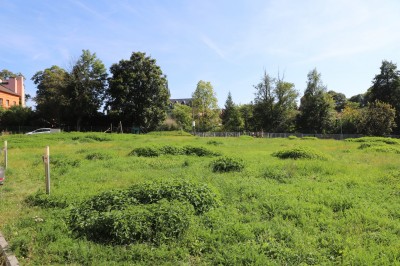 Prodej stavebního pozemku 2267 m2,  ulice Koželužská, Cheb