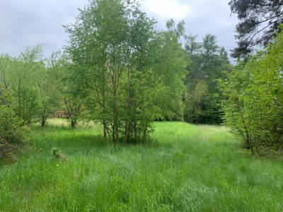 Prodej stavebního pozemku 3863 m2 - Doksy, okres Kladno