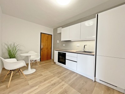 Pronájem moderního bytu 2+1, 54 m2, ulice Dunická, Praha 4