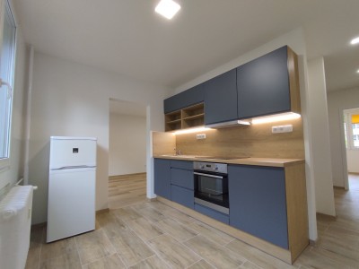 Pronájem bytu 3+1, 66m2, Ústí nad Labem, Svojsíkova