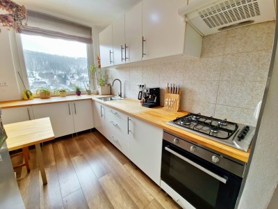 Prodej bytu 3+1 s lodžií, ulice Dukelských hrdinů, Ústí nad Labem - Bukov