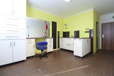 Prodej bytu 1+1/OV, 35 m2, Mostecká, Litvínov