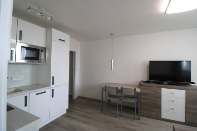 Pronájem bytu 2kk, 43m2, Praha 4- Lhotka, Jílovská ul.