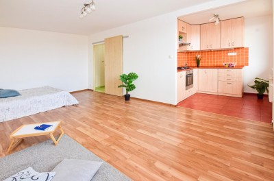 Pronájem bytu 1+1, 39m2, Praha 8- Kobylisy
