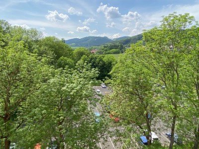 Prodej 2+1+L, 60 m2, OV, Okružní, Klášterec nad Ohří