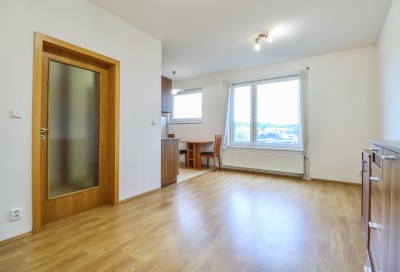 Prodej ateliéru 1kk 31 m2, ulice Nademlejnská