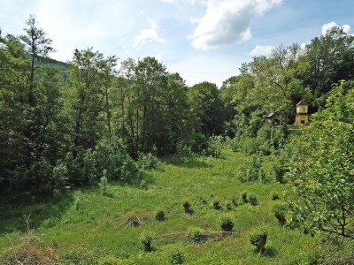 Prodej pozemku 5354 m2, obec Háje nad Jizerou - Dolní Sytová