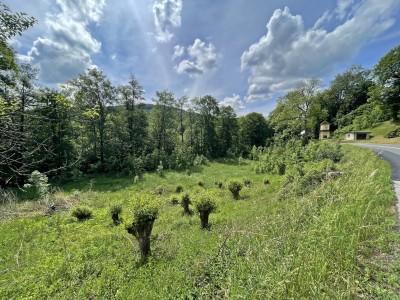 Prodej pozemku 5354 m2, obec Háje nad Jizerou - Dolní Sytová