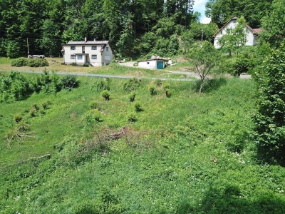 Prodej pozemku 5354 m2, obec Háje nad Jizerou - Dolní Sytová