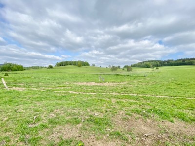 Prodej domu k rekonstrukci, 156 m2, pozemek 2.905 m2, Lobendava, Děčín