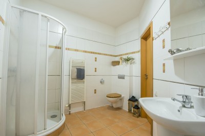 Prodej bytu 1+1, OV, 46m2, ul. Harantova, Plzeň