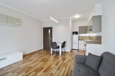 Pronájem bytu 2kk, 58m2, Praha 9- Hloubětín, ul. Saarinenova