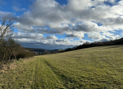 Prodej zemědělských pozemků 115.426 m2, Prackovice nad Labem, okres Litoměřice