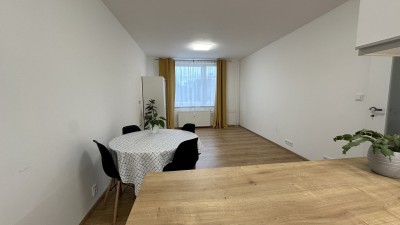 Pronájem bytu 2kk 46m2 Kladno, ulice M. Švabinského 899