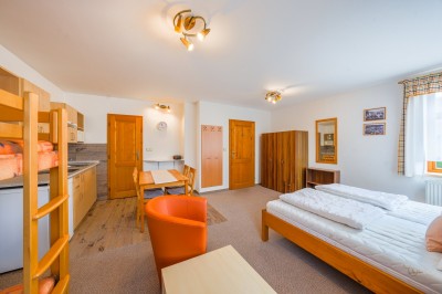 Prodej rodinného domu (450 m2) s dvěma apartmány,  pozemek (1555 m2), Dolní Rokytnice- Rokytnice nad Jizerou