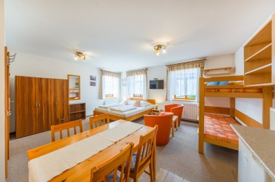 Prodej rodinného domu (450 m2) s dvěma apartmány,  pozemek (1555 m2), Dolní Rokytnice- Rokytnice nad Jizerou
