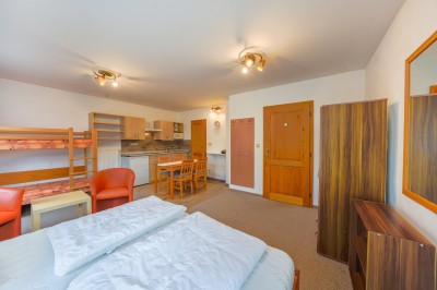 Prodej rodinného domu (450 m2) s dvěma apartmány,  pozemek (1555 m2), Dolní Rokytnice- Rokytnice nad Jizerou