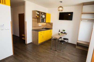 Prodej bytu 1+kk 31m2, Frymburk