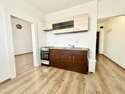 Pronájem bytu 1+1, 35 m2, Dlouhá, Klášterec nad Ohří