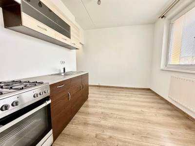 Pronájem bytu 1+1, 35 m2, Dlouhá, Klášterec nad Ohří
