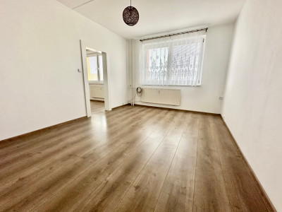 Pronájem bytu 1+1, 35 m2, Dlouhá, Klášterec nad Ohří