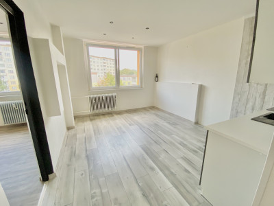 Pronájem 1+1, 36 m2, 17. listopadu, Klášterec nad Ohří