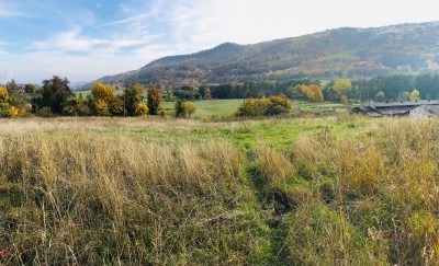Prodej pozemku v obci Lestkov, 8.018 m2,  Klášterec nad Ohří