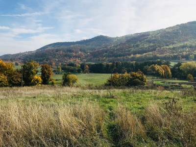 Prodej pozemku v obci Lestkov, 8.018 m2,  Klášterec nad Ohří