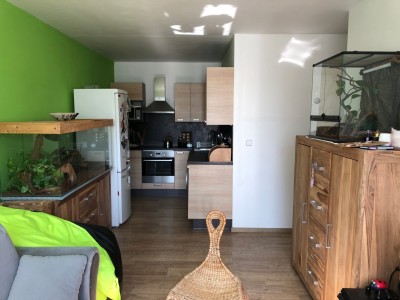 Prodej bytu 2+kk, Benešovská, Kladno - Sítná